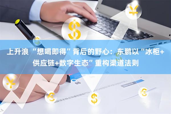 上升浪 “想喝即得”背后的野心：东鹏以“冰柜+供应链+数字生态”重构渠道法则