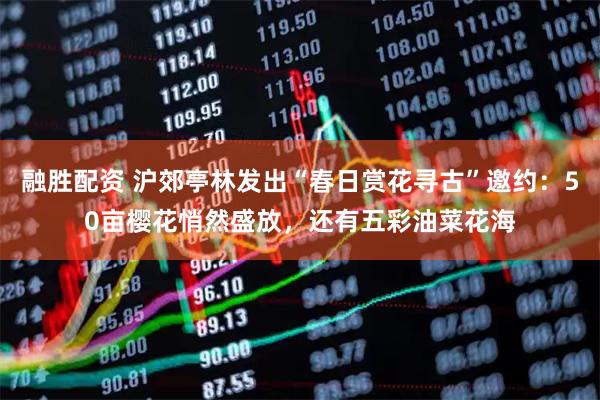 融胜配资 沪郊亭林发出“春日赏花寻古”邀约：50亩樱花悄然盛放，还有五彩油菜花海