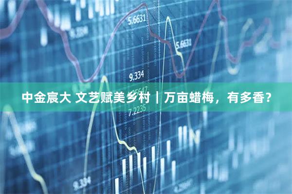 中金宸大 文艺赋美乡村｜万亩蜡梅，有多香？