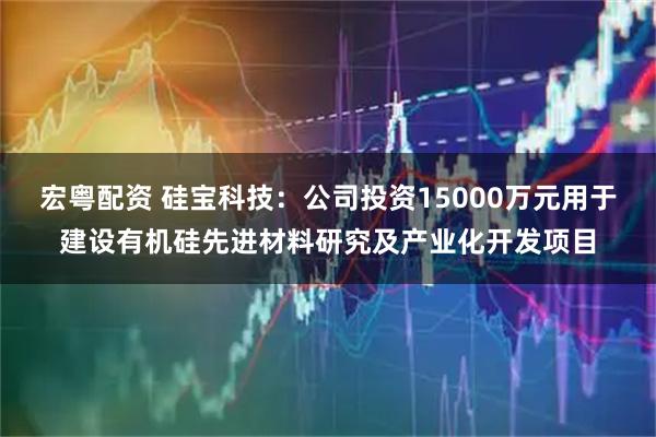 宏粤配资 硅宝科技：公司投资15000万元用于建设有机硅先进材料研究及产业化开发项目