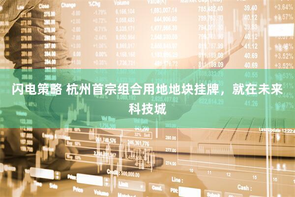 闪电策略 杭州首宗组合用地地块挂牌，就在未来科技城